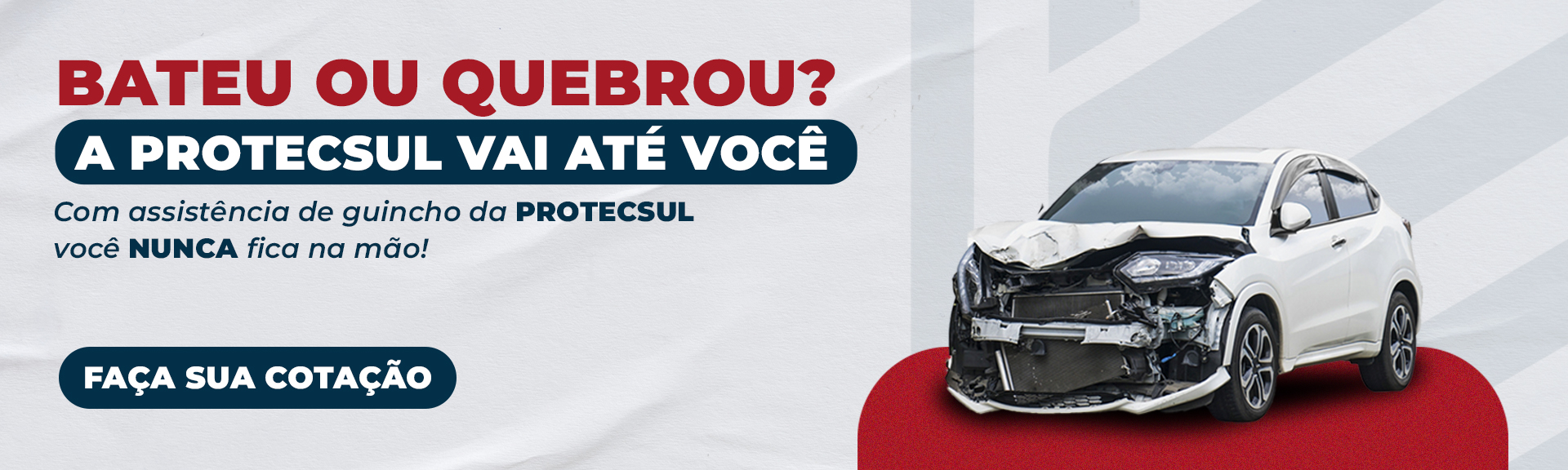 ProtecSul 1
